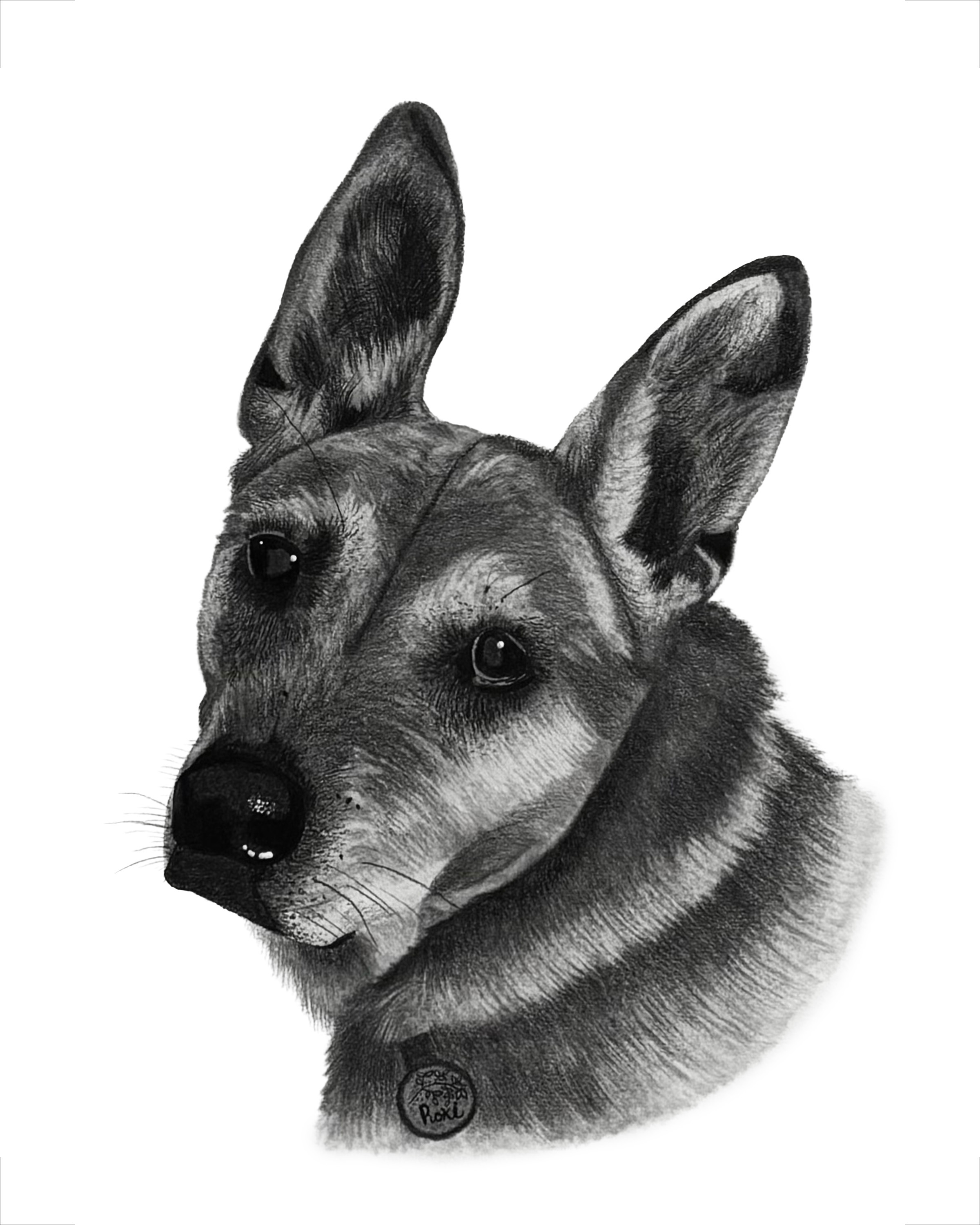 Graphite shepherd drawing